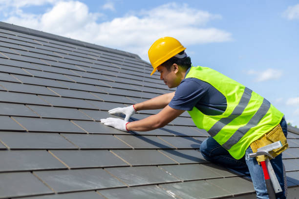 Best Shingle Roofing Installation  in Kalispell, MT